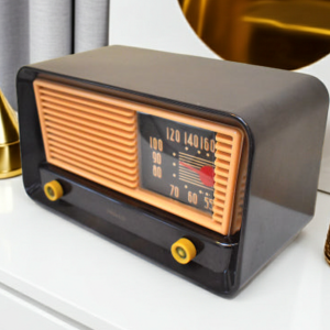 Espresso Brown Radio